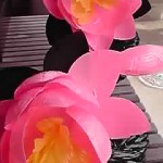 12-04-29_003.jpg