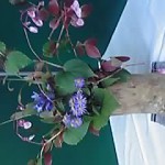 P1000316.JPG