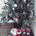 12-12-04_001.jpg