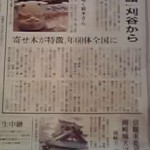 13-02-07_006.jpg
