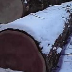 13-02-10_002.jpg