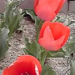 14-04-04_001.jpg