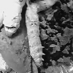 17-05-10_006.jpg