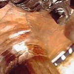 17-10-17_014.jpg