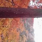 17-11-26_007.jpg