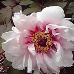 18-04-07_002.jpg