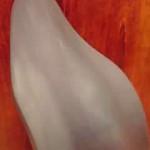 19-01-20_002.jpg