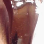 19-03-31_020.jpg