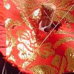 19-04-07_008.jpg