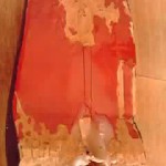 19-04-07_010.jpg