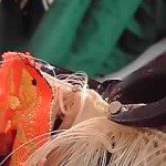 19-04-09_010.jpg