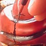 19-04-18_012_2.jpg