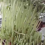 19-04-20_015.jpg