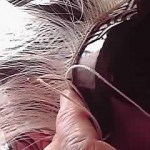 19-05-06_012.jpg