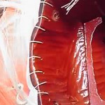 19-05-06_016.jpg