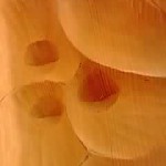 19-06-12_003.jpg