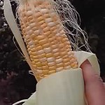 19-06-18_003.jpg