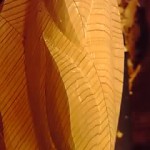19-07-10_011.jpg