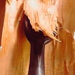 19-07-20_002.jpg