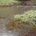 19-08-20_002.jpg