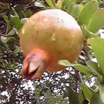 19-08-20_003.jpg