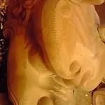19-08-24_003.jpg