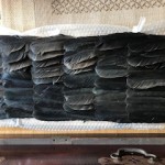 image3_16.jpeg
