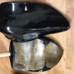 image1_11.jpeg