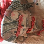 image7.jpeg