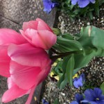 image0_6.jpeg