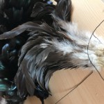 image1_2.jpeg