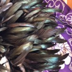 image11.jpeg