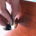image1_45.jpeg