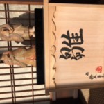 image2_31.jpeg