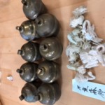 image12.jpeg