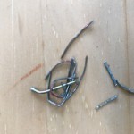 image15.jpeg