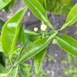 image2_3.jpeg