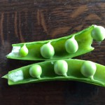 image2_3.jpeg