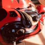 image10.jpeg