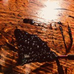 image6.jpeg
